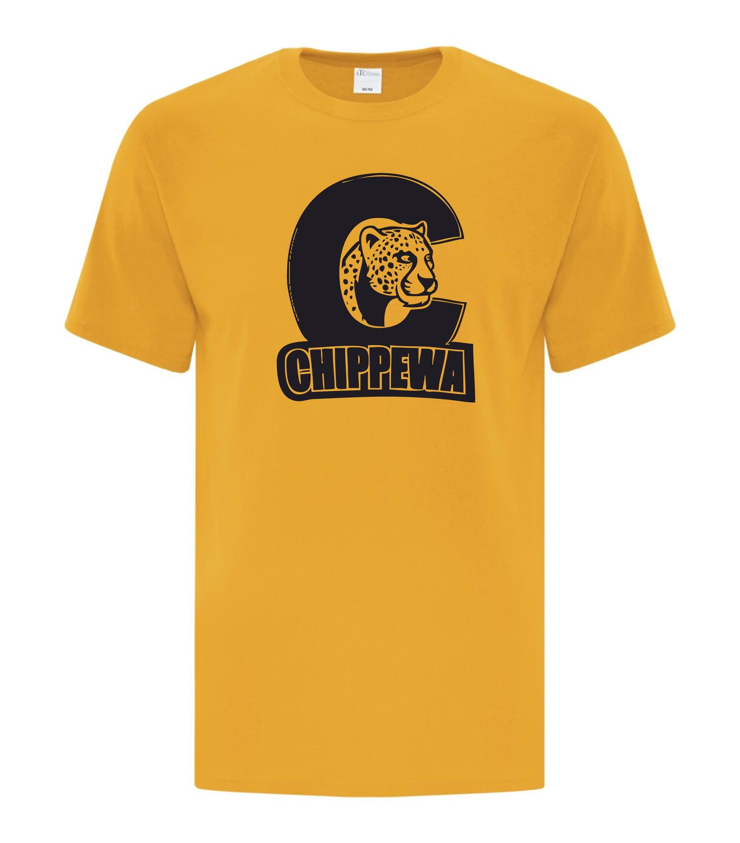 Chippewa Public School Adult Colour House T-Shirt