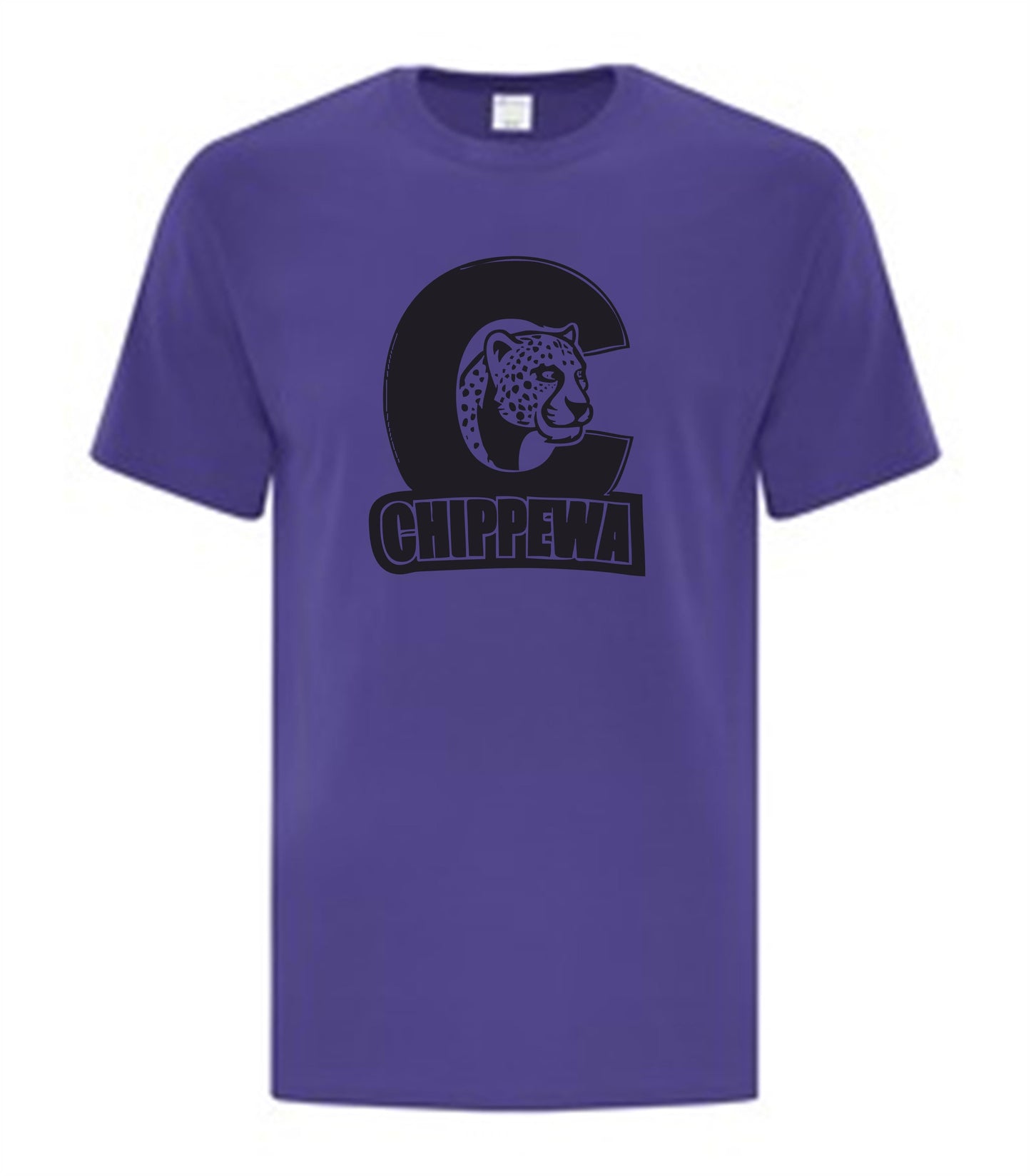 Chippewa Public School Youth Colour House T-Shirt