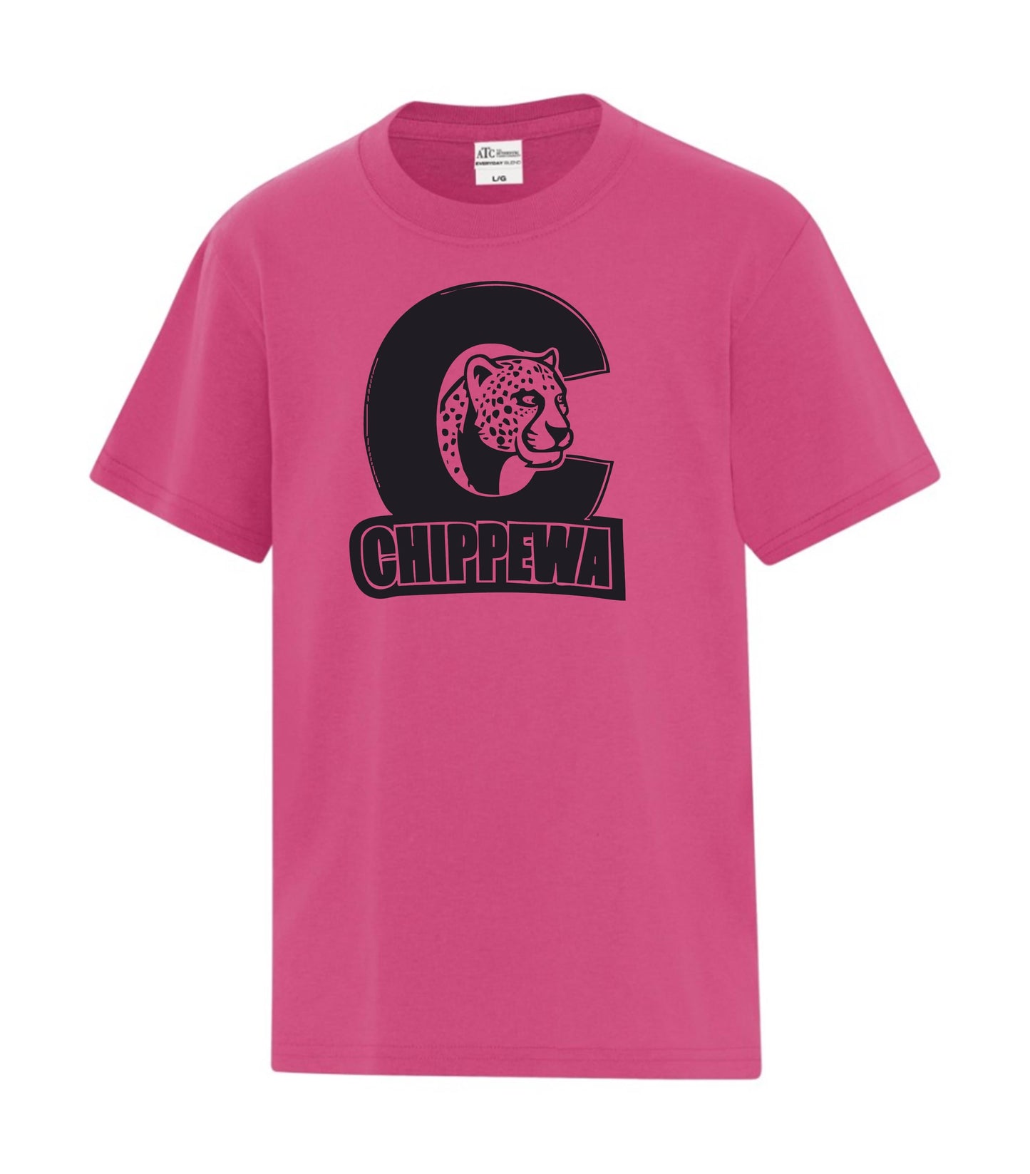 Chippewa Public School Youth Colour House T-Shirt